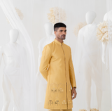 GOLDEN GLOW FLAMINGO SHERWANI SET