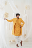 OCHRE GOLD REINDEER SHERWANI SET