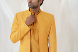 OCHRE GOLD REINDEER SHERWANI SET