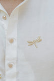The Cream Dragonfly