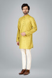 Forts embroidery Guacamole  Kurta
