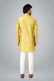 Forts embroidery Guacamole  Kurta
