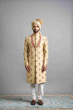 Samar Golden Sherwani
