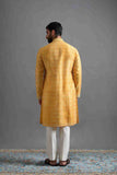 Surya Tej Kurta