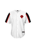 Air Gully DRI-FIT Pearly White GA Baseball shirt