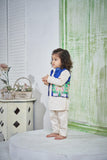 PICHWAI BLUE BANDI  SET