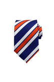 Color Rich Striped Neck Tie