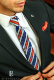 Color Rich Striped Neck Tie